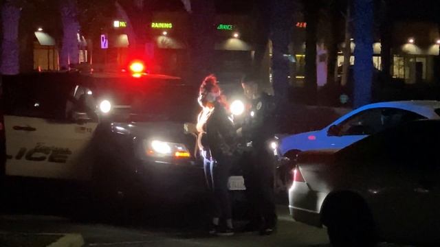 Police in Fontana: smile you're on camera смотреть онлайн