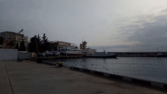 Режут "ГОЛУБУЮ СТРЕЛУ"-Жаль*Чайки на охоте смотреть онлайн