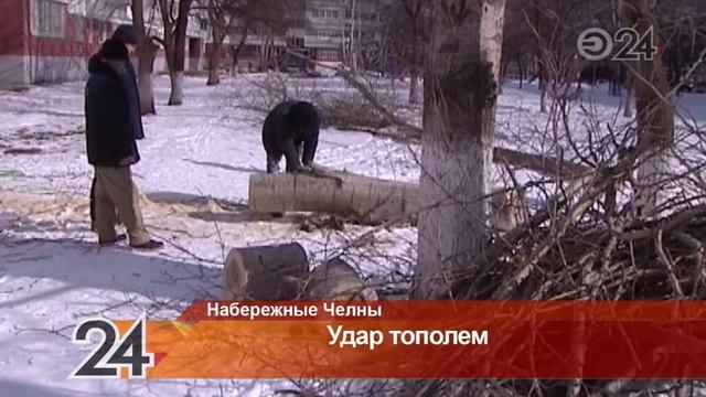 В Н. Челнах из-за неудачно срубленного тополя выбило стекла в 5 квартирах дома смотреть онлайн