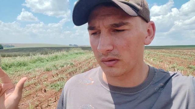 Receita para o Desastre 🤯 Deu zica no sorgo... смотреть онлайн