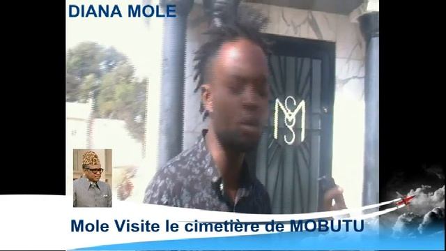 La Visite de diana Mole De Cimetiere Mobutu смотреть онлайн