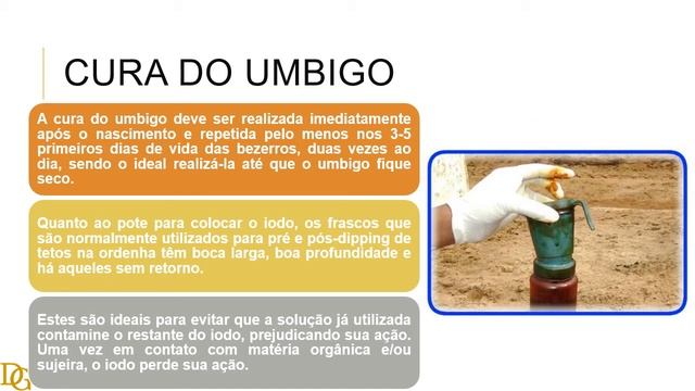 070. Onfalite em Bezerros e a "Cura do Umbigo" смотреть онлайн
