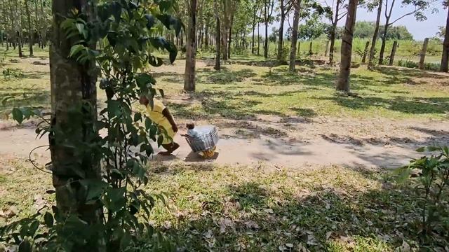 Monkey Su smart ask to follow Kuku buy food feed the builders смотреть онлайн