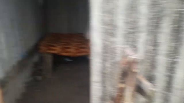 пасу корову смотреть онлайн