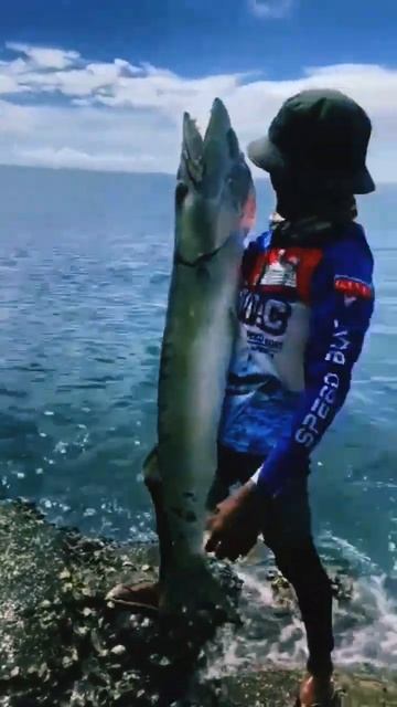 big barracuda fish смотреть онлайн