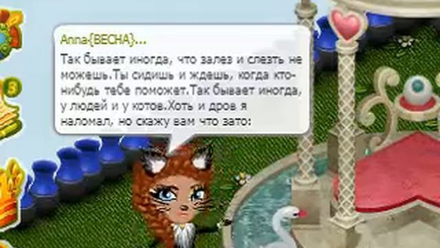 зато я спас кота!!! смотреть онлайн