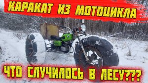 ПРИКЛЮЧЕНИЯ НА КАРАКАТЕ!!! КАРАКАТ ТРИЦИКЛ ИЗ МОТОЦИКЛА. ЧТО СДЕЛАЛИ С КАРАКАТОМ В ЛЕСУ?
