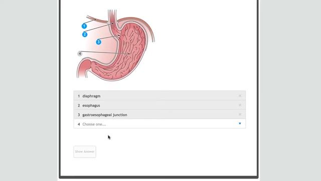 The power of eBooks in Allied Health Education смотреть онлайн