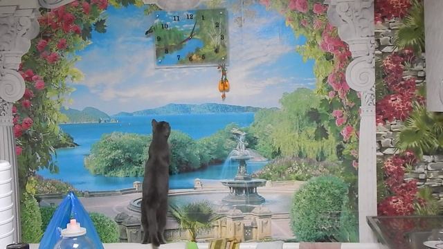 Кошка Мыфка и часы смотреть онлайн