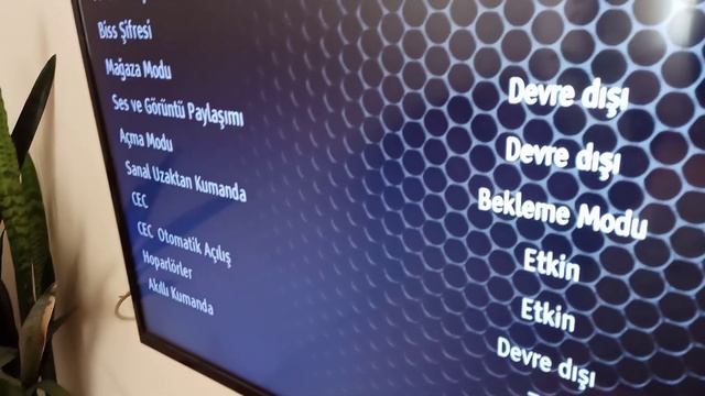 TRT 4K ve TRT 1 şifresini kaldırma смотреть онлайн