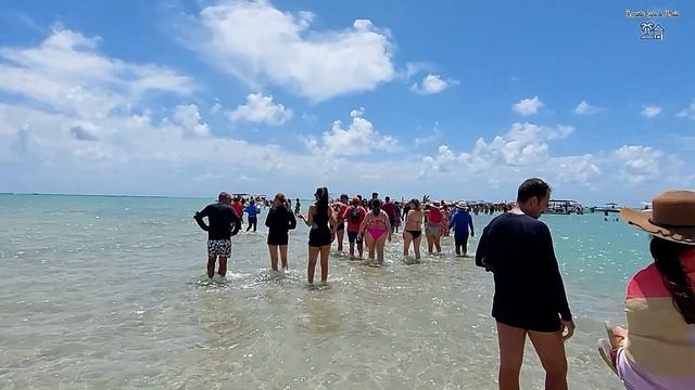 Belezas do Caminho de Moisés na Praia de Barra Grande em Maragogi - AL Parte 1 смотреть онлайн