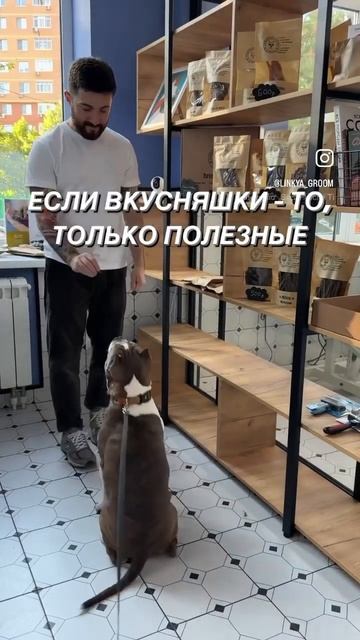Четыре причины любить @Linkya_groom #груминг #грумингсалон #животные #собаки #кошки #grooming #top смотреть онлайн