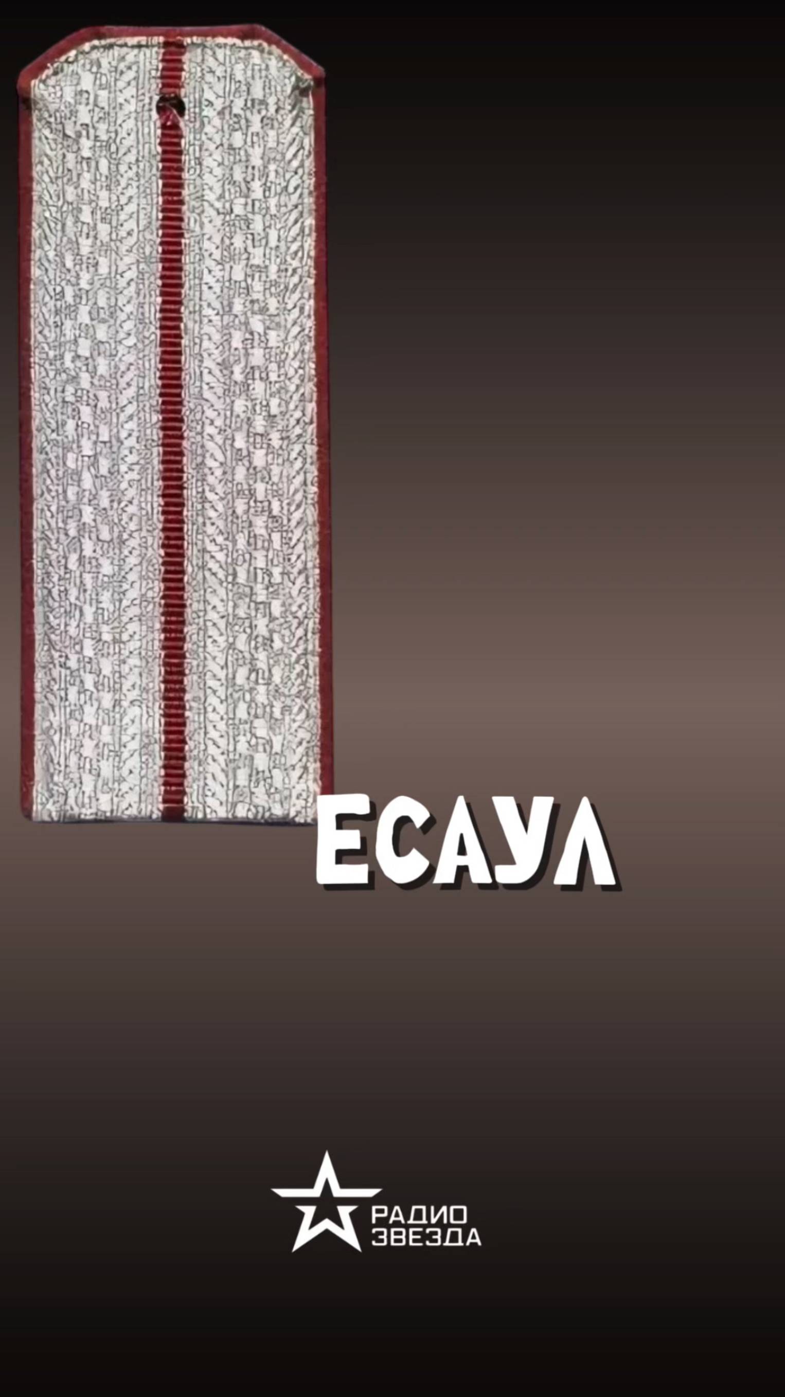 ПО СЛУЧАЮ ПРИСВОЕНИЯ: кому есаул приходится «сыном»? смотреть онлайн