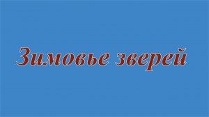 Зимовье зверей