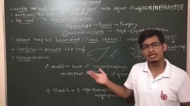 Gymnosperms Part-1 for NEET AIIMS JIPMER смотреть онлайн