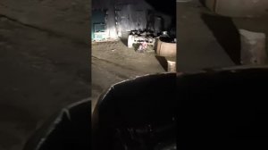 led лампы k5c mini 4300k. в ближнем свете рено дастер отзыв.