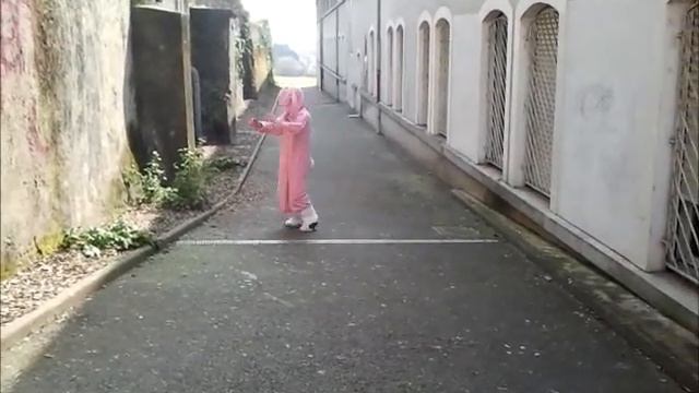 Harlem Shake Lapin rose смотреть онлайн