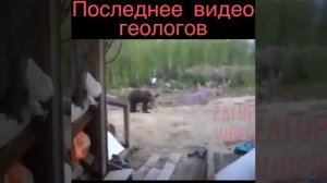 Медведь напал на геологов!!!