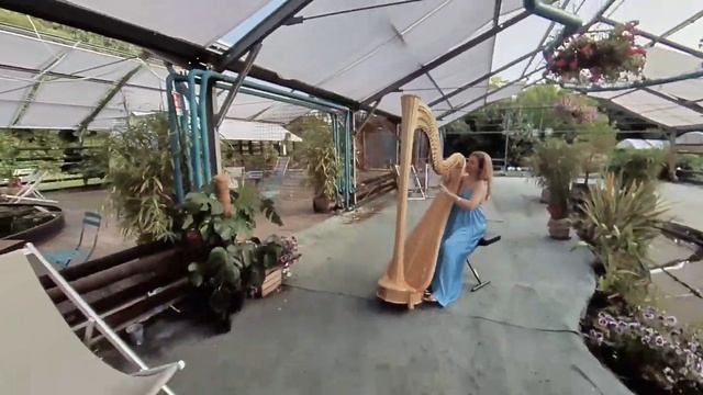 Natural Soundscapes Classic Harp смотреть онлайн