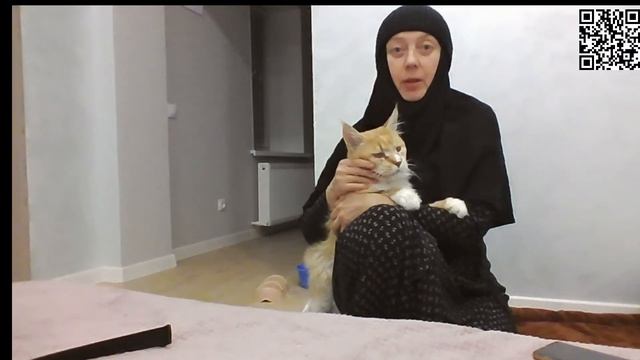Монастырские кошки в эфИРЕ смотреть онлайн