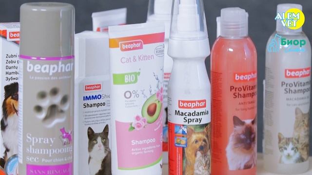 Кошкина жизнь Выпуск 3 смотреть онлайн