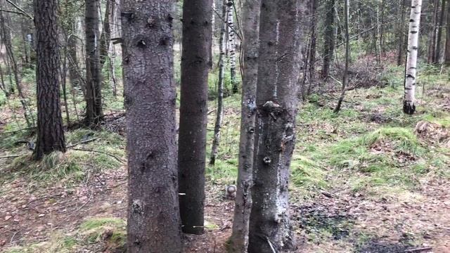 На лыжной базе смотреть онлайн