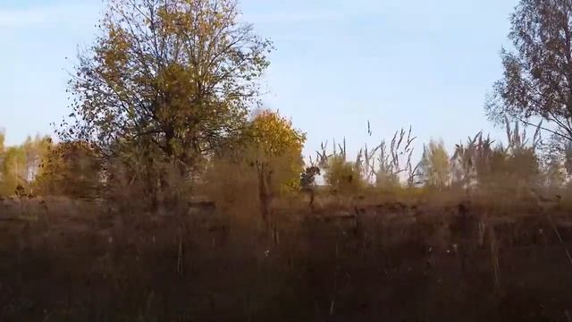 Осень смотреть онлайн