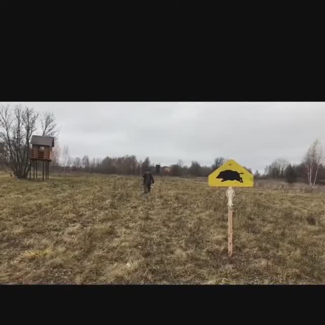 Автоматическая кормушка для охот хозяйств смотреть онлайн