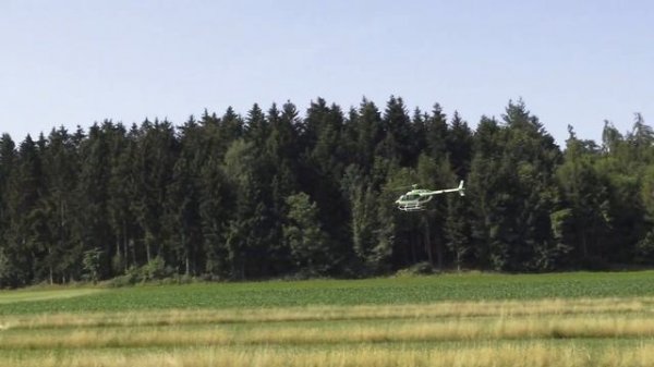 Roland Kaufmann Bell JetRanger 206B3 RC Scale Turbine Model Helicopter