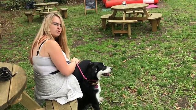 AM I A WIZARD ?? / TEARS OF HAPPINESS / HOW DOGS SHOULD BEHAVE AT THE PUB. смотреть онлайн