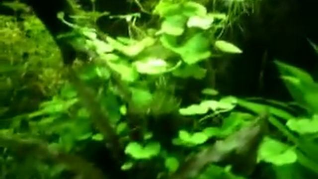 125 Rio 125 1 month old смотреть онлайн