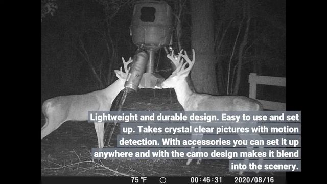 User Review: Victure Trail Game Camera 20MP 1080P Full HD with Night Vision Motion Activated IP... смотреть онлайн