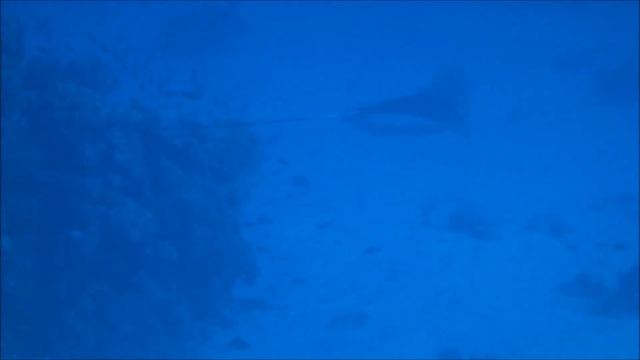 Safaga 2013 смотреть онлайн