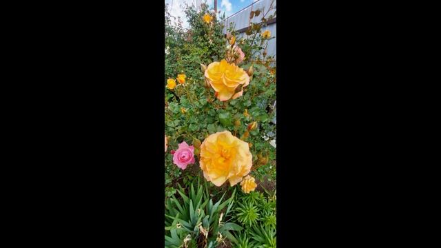 Немного позитива смотреть онлайн