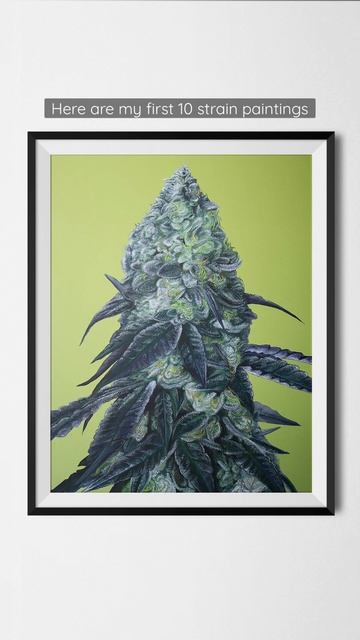 Which is your favorite Canna- Strain Painting? смотреть онлайн