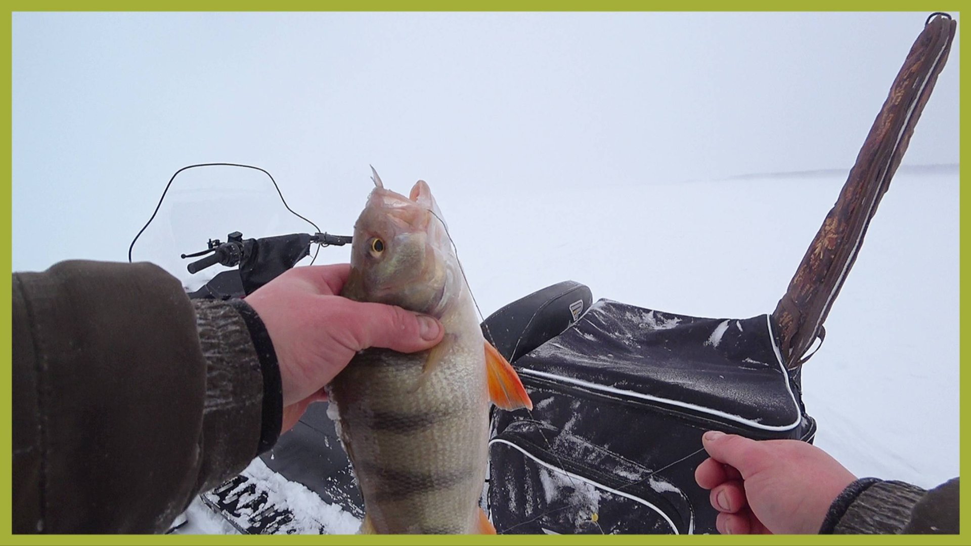 Огромные окуни в метель.#рыбалка #зимняярыбалка #рыбалкахмао #рыбалканижневартовск #рыбалканажерлицы смотреть онлайн