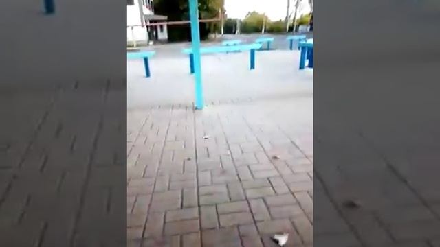 В одной части этого видоса я испугалась осу 😅😂😅😄 смотреть онлайн