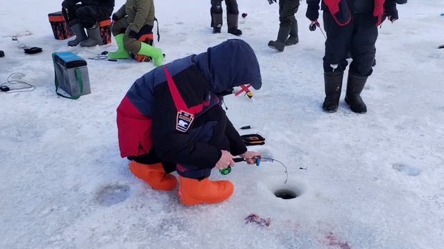 Палия на раттлины смотреть онлайн