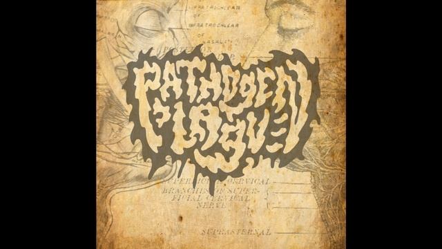 Pathogen Plague - Enema Bulldozer (Instrumental) смотреть онлайн
