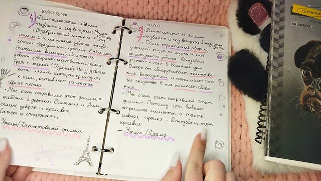 6 идей чем можно заполнить ваш блокнот смотреть онлайн