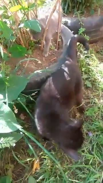 Video by Lyudmila Novikova смотреть онлайн