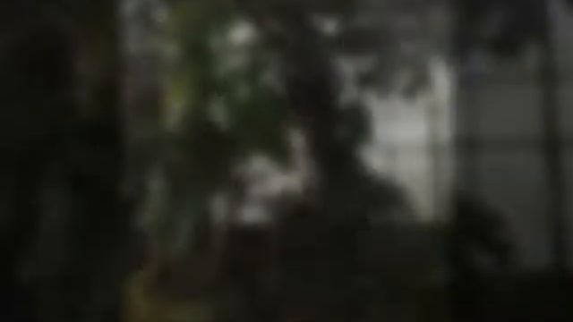 Оранжерея, сады, Филадельфия смотреть онлайн