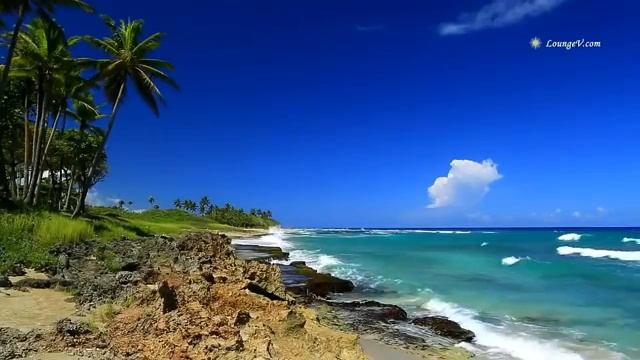 Ludovico Einaudi | Monday