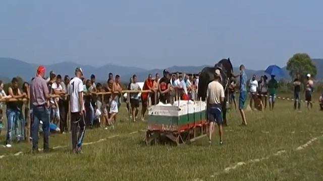 56 Кон Чарли тегло 800кг товар 1600кг смотреть онлайн