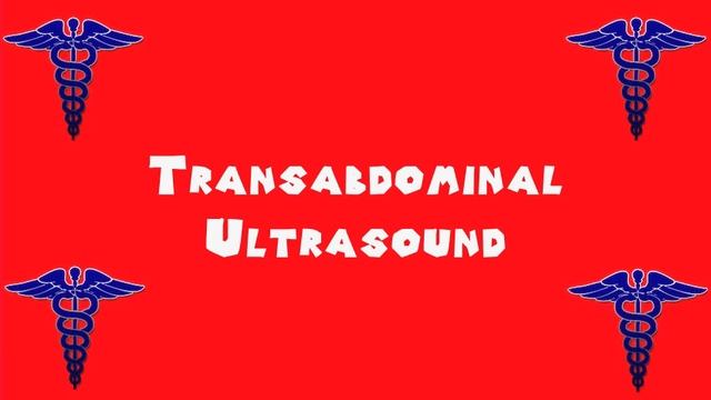 Pronounce Medical Words ― Transabdominal Ultrasound смотреть онлайн