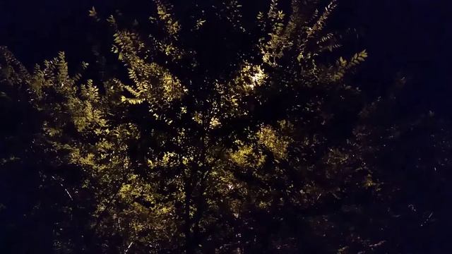 Залип смотреть онлайн