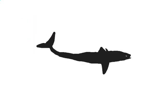 #greatdedcontest (pivot cladoselache test) смотреть онлайн