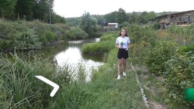 На Харківщині родина створила екологічну ферму смотреть онлайн