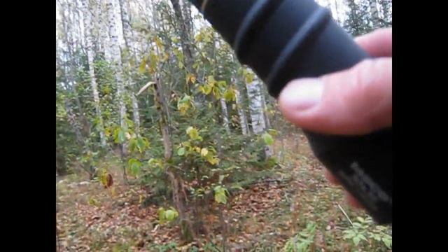 неудачная охота смотреть онлайн