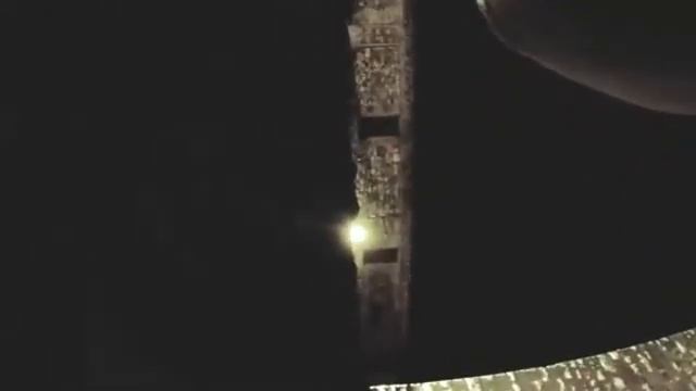 Чайка и видеокамера смотреть онлайн